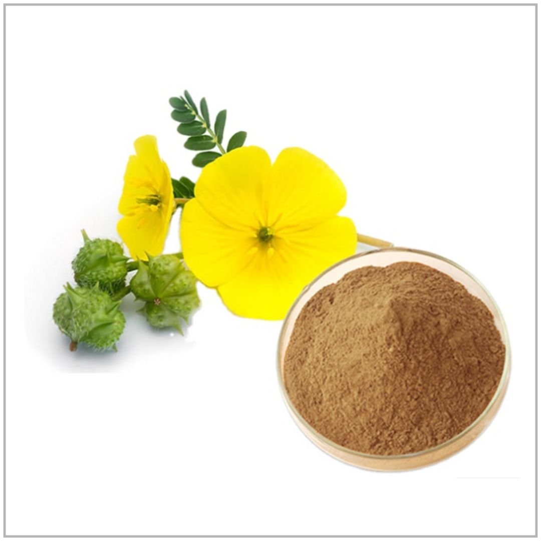 Tribulus Extract